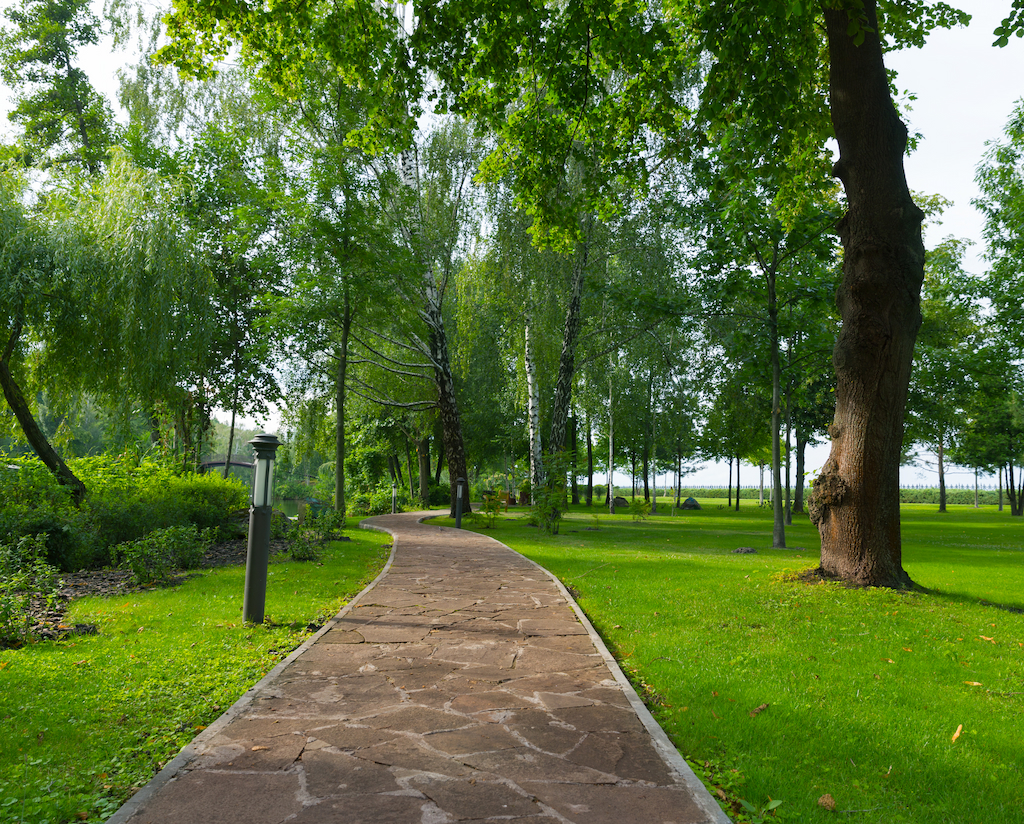 Public Parks – Green Spaces for Relaxation 